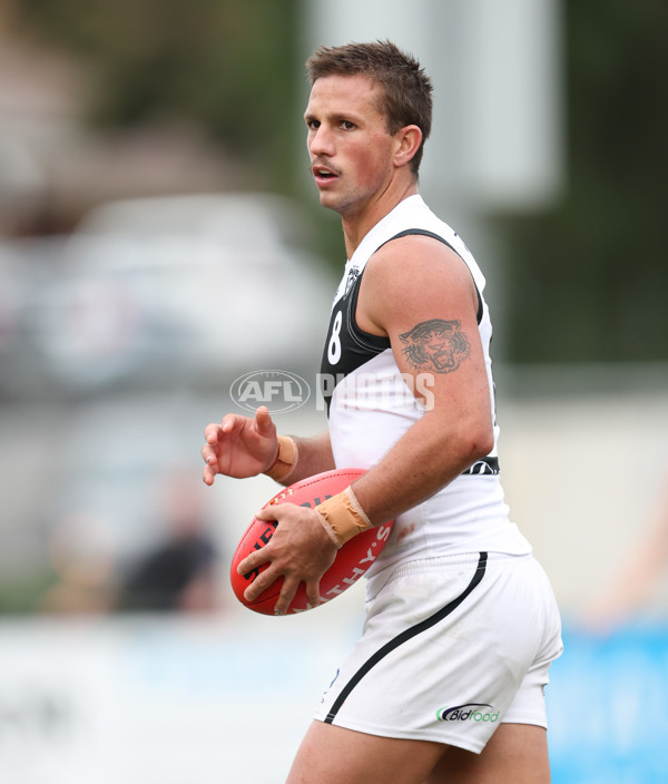 VFL 2024 Round 19 - Werribee v Southport - A-52500772