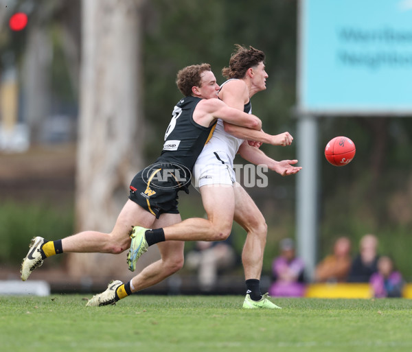 VFL 2024 Round 19 - Werribee v Southport - A-52500774