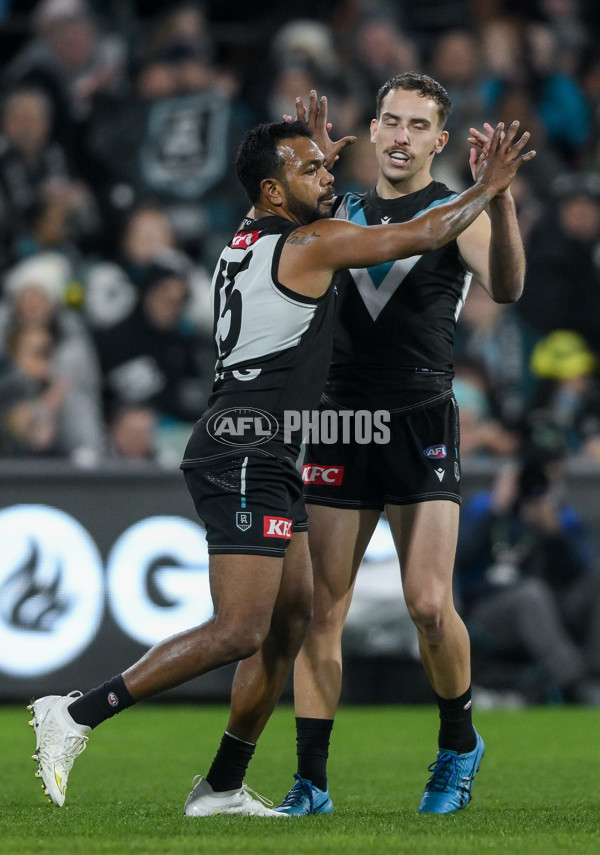 AFL 2024 Round 21 - Port Adelaide v Sydney - A-52501125