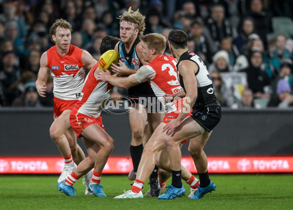 AFL 2024 Round 21 - Port Adelaide v Sydney - A-52501128