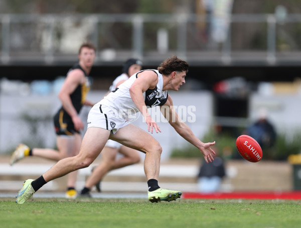 VFL 2024 Round 19 - Werribee v Southport - A-52501169