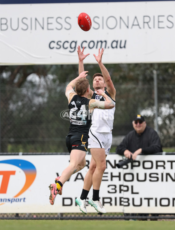 VFL 2024 Round 19 - Werribee v Southport - A-52501170