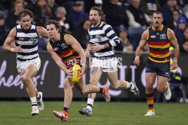 AFL 2024 Round 21 - Geelong v Adelaide - A-52503689