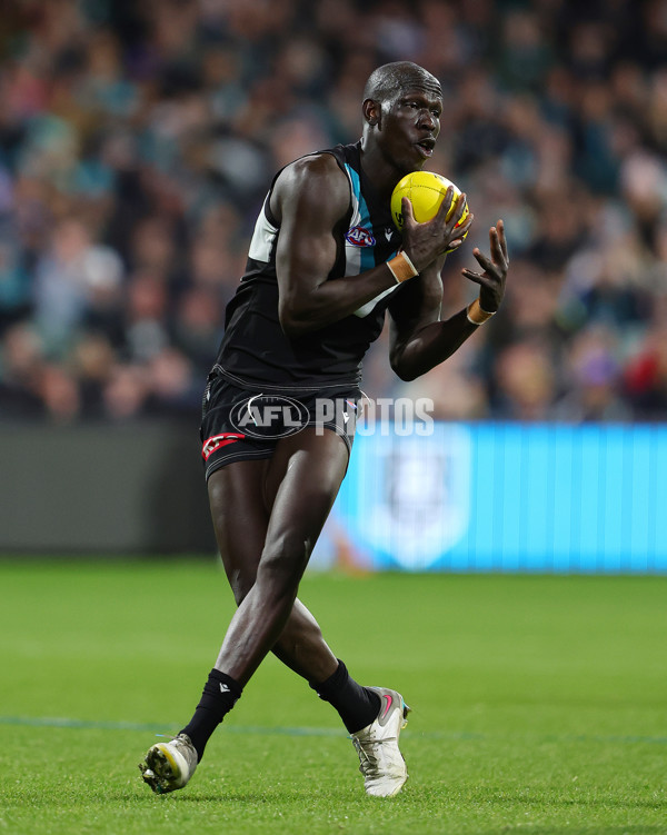 AFL 2024 Round 21 - Port Adelaide v Sydney - A-52503715
