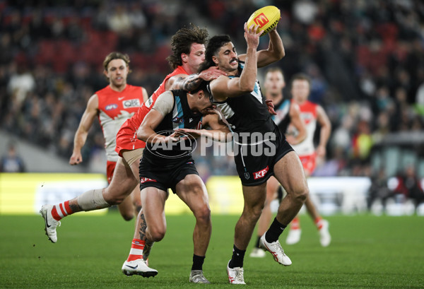 AFL 2024 Round 21 - Port Adelaide v Sydney - A-52503973