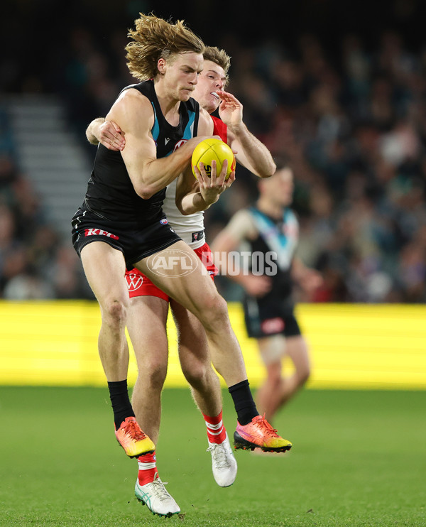 AFL 2024 Round 21 - Port Adelaide v Sydney - A-52503975