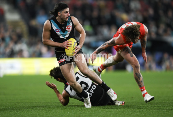 AFL 2024 Round 21 - Port Adelaide v Sydney - A-52503982