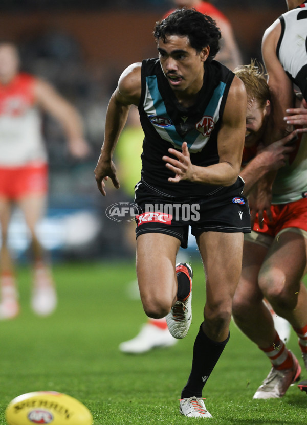 AFL 2024 Round 21 - Port Adelaide v Sydney - A-52506365