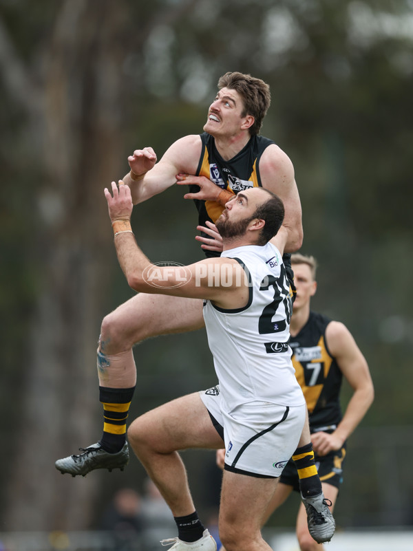 VFL 2024 Round 19 - Werribee v Southport - A-52506370