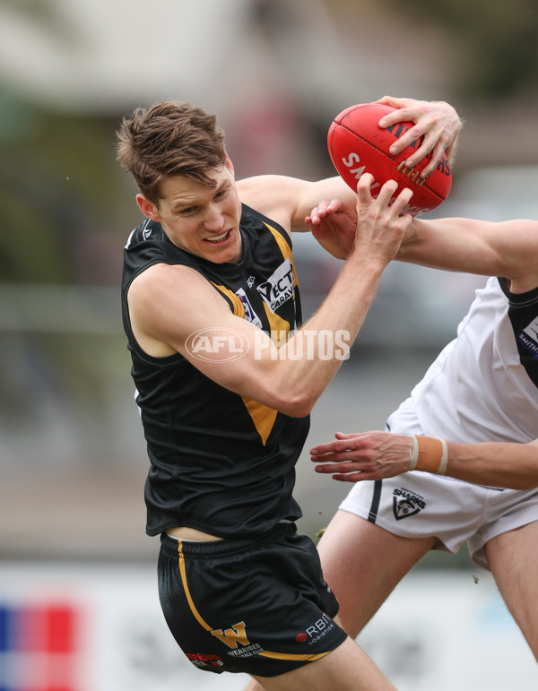 VFL 2024 Round 19 - Werribee v Southport - A-52506375