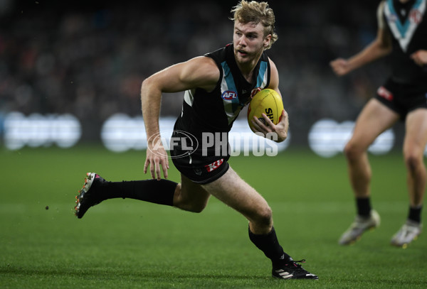 AFL 2024 Round 21 - Port Adelaide v Sydney - A-52506381