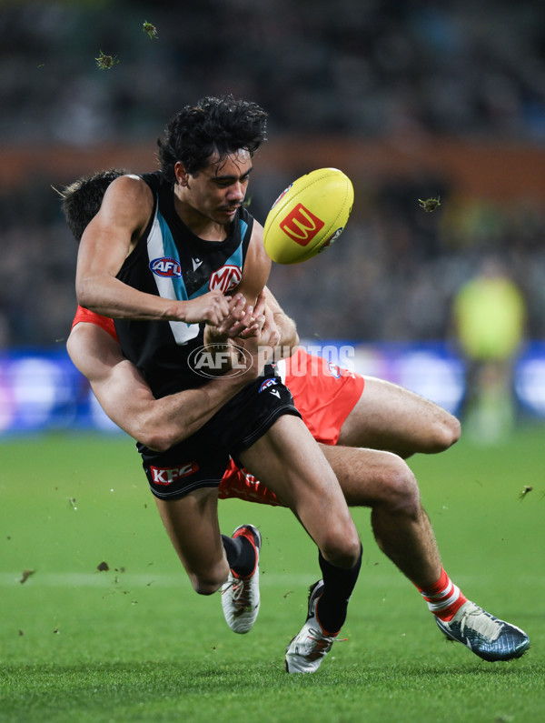 AFL 2024 Round 21 - Port Adelaide v Sydney - A-52506425