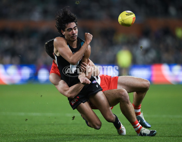 AFL 2024 Round 21 - Port Adelaide v Sydney - A-52506431