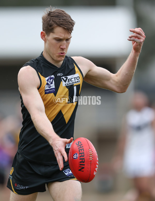 VFL 2024 Round 19 - Werribee v Southport - A-52506668