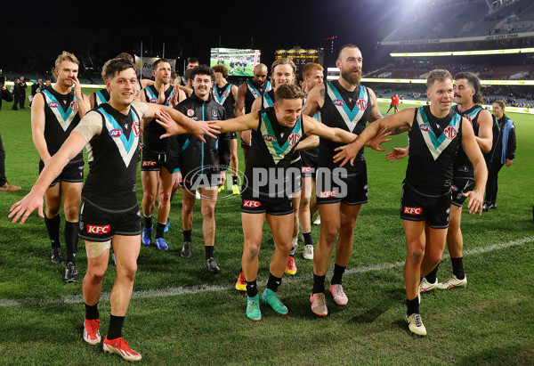 AFL 2024 Round 21 - Port Adelaide v Sydney - A-52506734