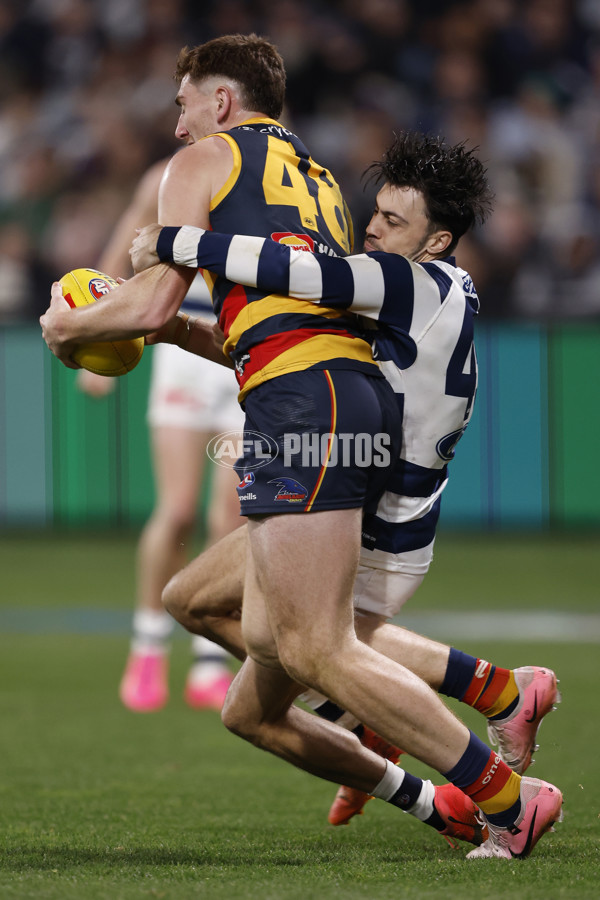 AFL 2024 Round 21 - Geelong v Adelaide - A-52506749