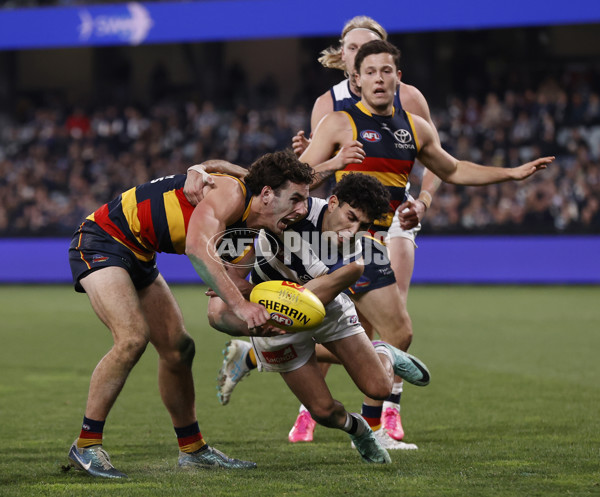 AFL 2024 Round 21 - Geelong v Adelaide - A-52509090