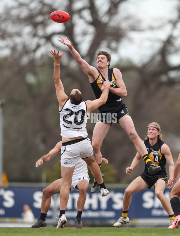 VFL 2024 Round 19 - Werribee v Southport - A-52509551