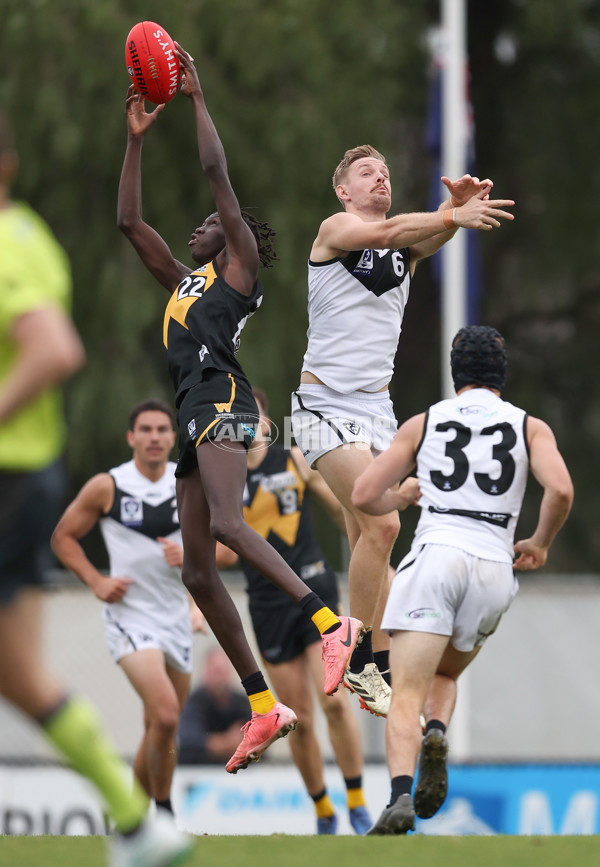 VFL 2024 Round 19 - Werribee v Southport - A-52509553