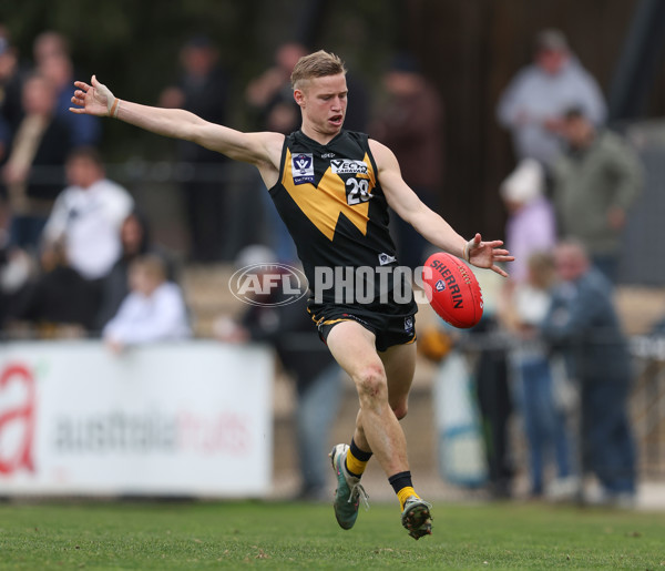 VFL 2024 Round 19 - Werribee v Southport - A-52509558