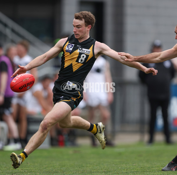 VFL 2024 Round 19 - Werribee v Southport - A-52509559