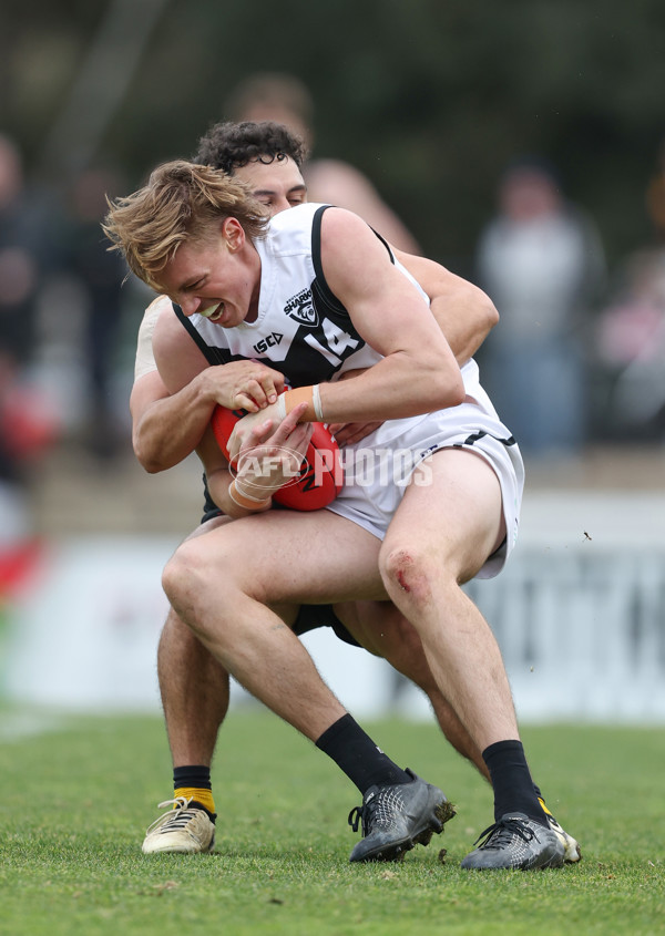 VFL 2024 Round 19 - Werribee v Southport - A-52511952