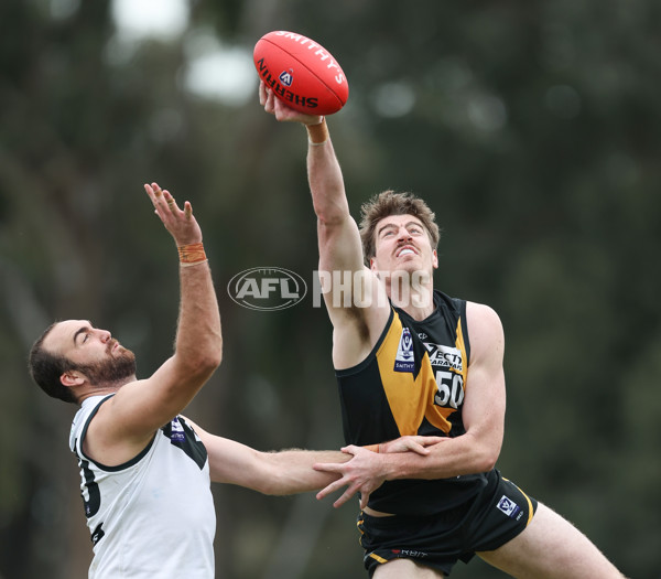 VFL 2024 Round 19 - Werribee v Southport - A-52511961