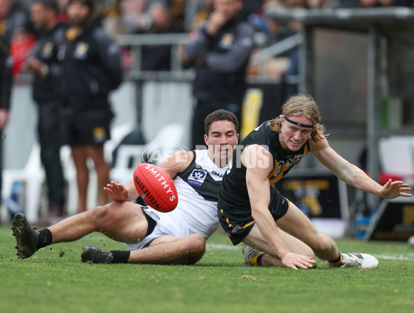 VFL 2024 Round 19 - Werribee v Southport - A-52512270