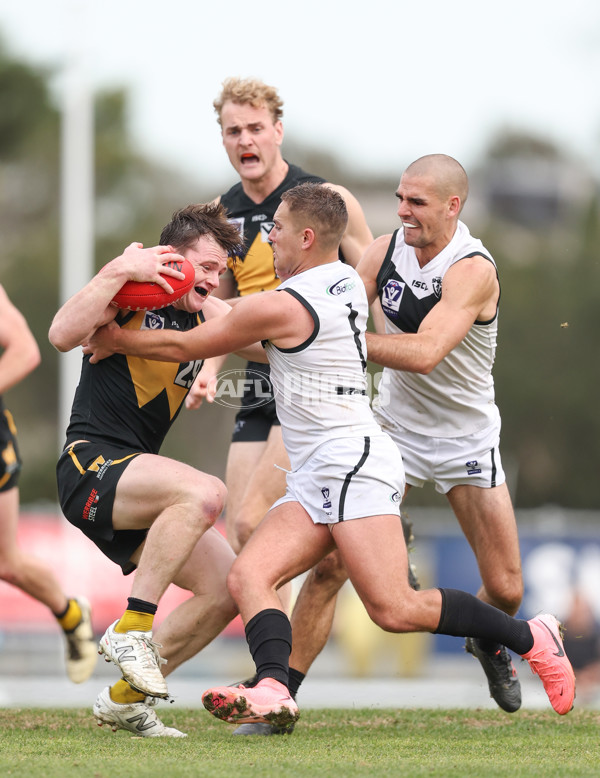 VFL 2024 Round 19 - Werribee v Southport - A-52514463