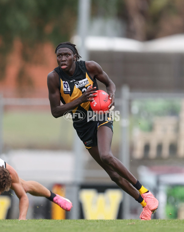 VFL 2024 Round 19 - Werribee v Southport - A-52514513