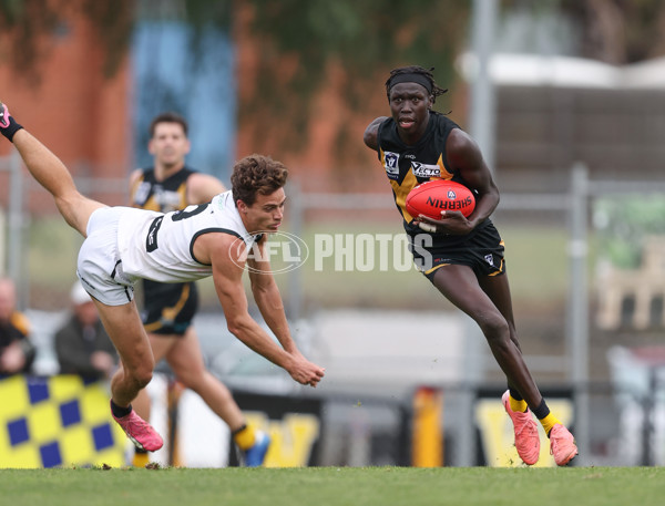 VFL 2024 Round 19 - Werribee v Southport - A-52514514