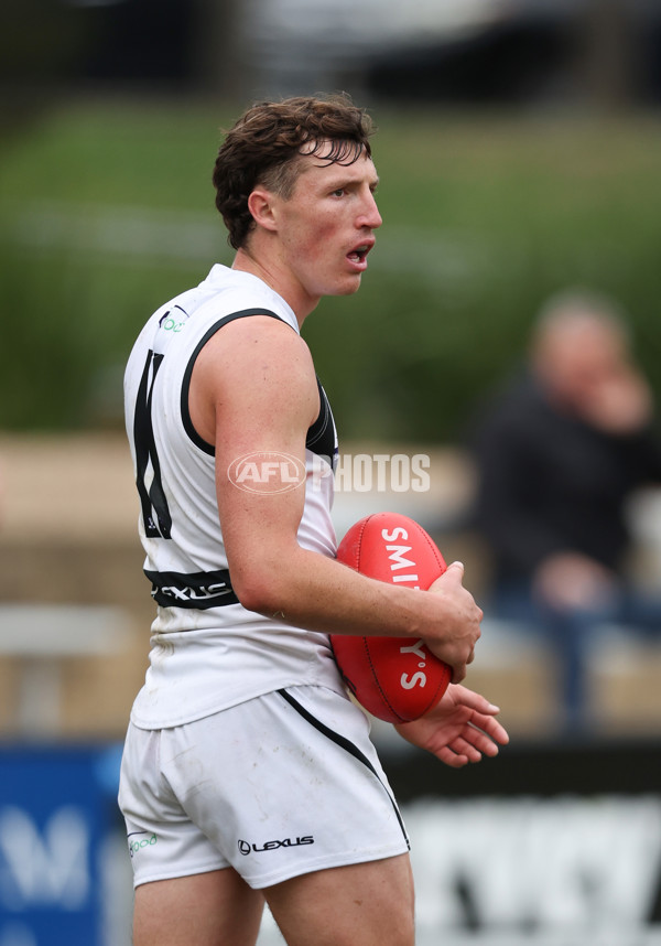 VFL 2024 Round 19 - Werribee v Southport - A-52514515