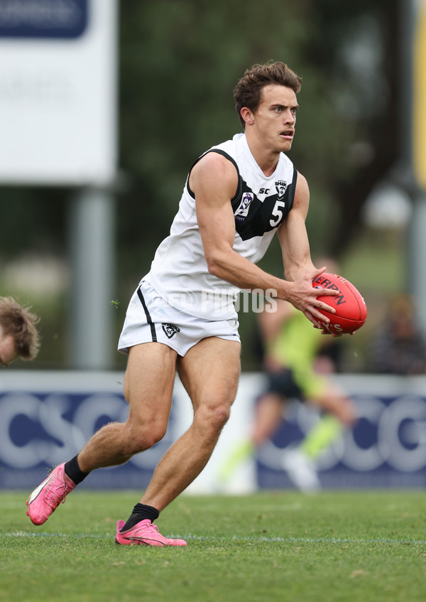 VFL 2024 Round 19 - Werribee v Southport - A-52514516