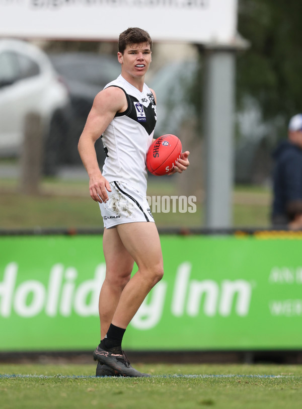 VFL 2024 Round 19 - Werribee v Southport - A-52514518