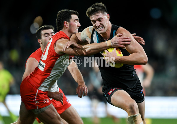 AFL 2024 Round 21 - Port Adelaide v Sydney - A-52514536