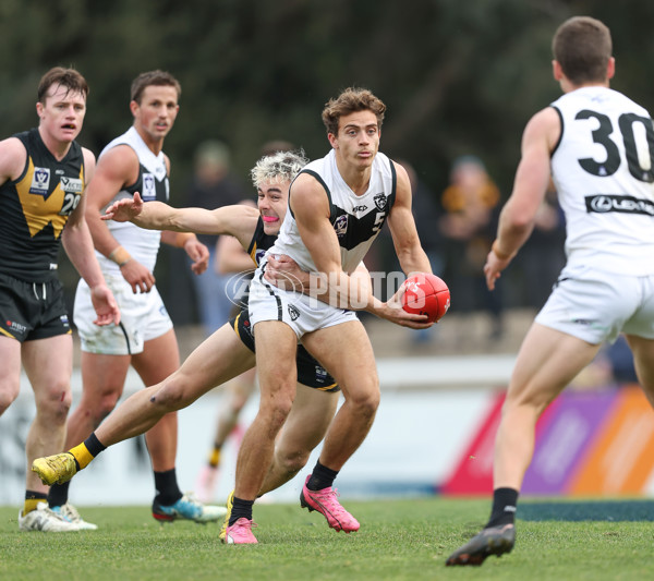 VFL 2024 Round 19 - Werribee v Southport - A-52514767