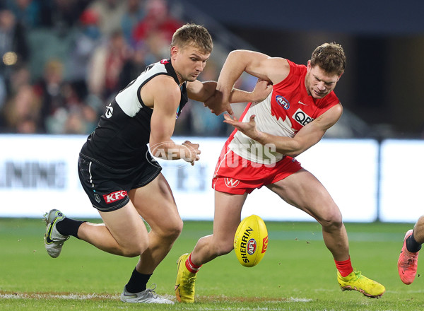 AFL 2024 Round 21 - Port Adelaide v Sydney - A-52514782