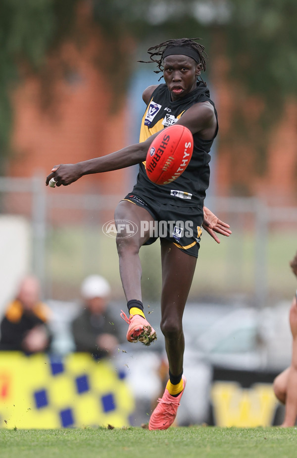 VFL 2024 Round 19 - Werribee v Southport - A-52514800