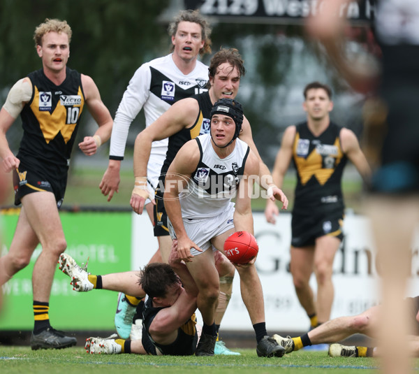 VFL 2024 Round 19 - Werribee v Southport - A-52514806