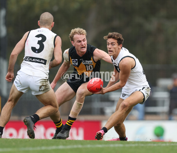 VFL 2024 Round 19 - Werribee v Southport - A-52514807