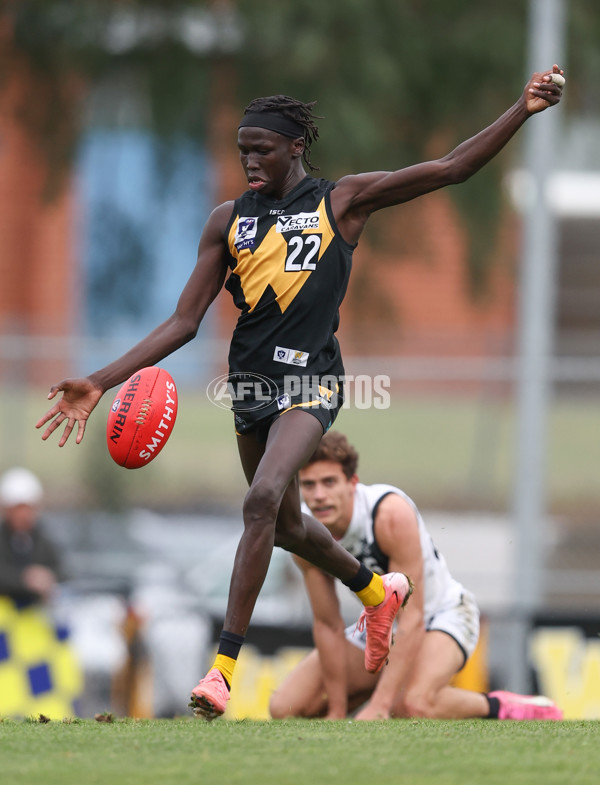 VFL 2024 Round 19 - Werribee v Southport - A-52514809