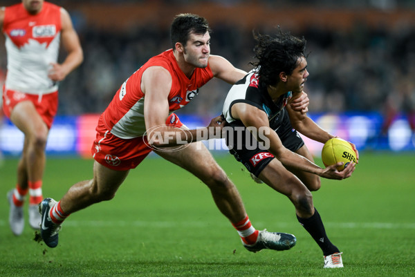 AFL 2024 Round 21 - Port Adelaide v Sydney - A-52514830