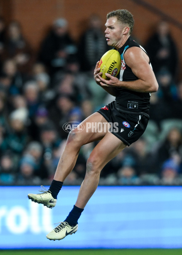 AFL 2024 Round 21 - Port Adelaide v Sydney - A-52514832