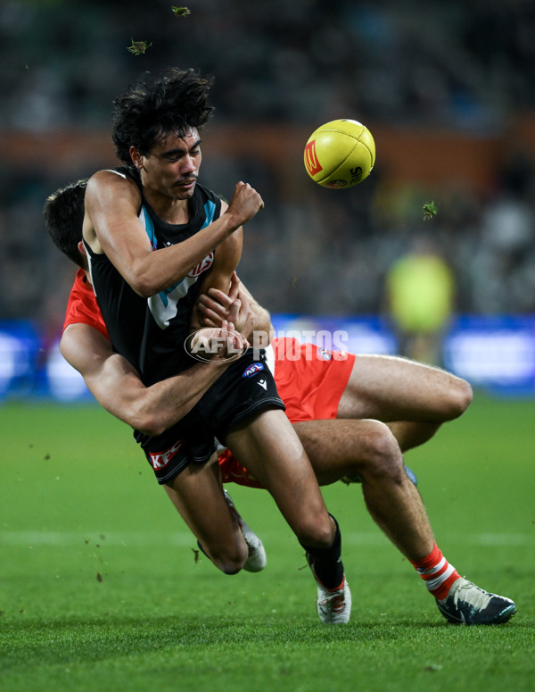 AFL 2024 Round 21 - Port Adelaide v Sydney - A-52514834