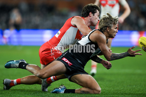 AFL 2024 Round 21 - Port Adelaide v Sydney - A-52514835