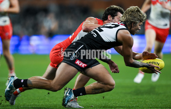 AFL 2024 Round 21 - Port Adelaide v Sydney - A-52516974