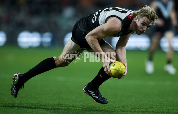 AFL 2024 Round 21 - Port Adelaide v Sydney - A-52516983