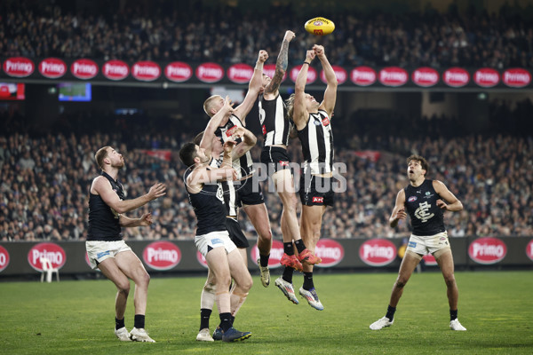 AFL 2024 Round 21 - Collingwood v Carlton - A-52516995