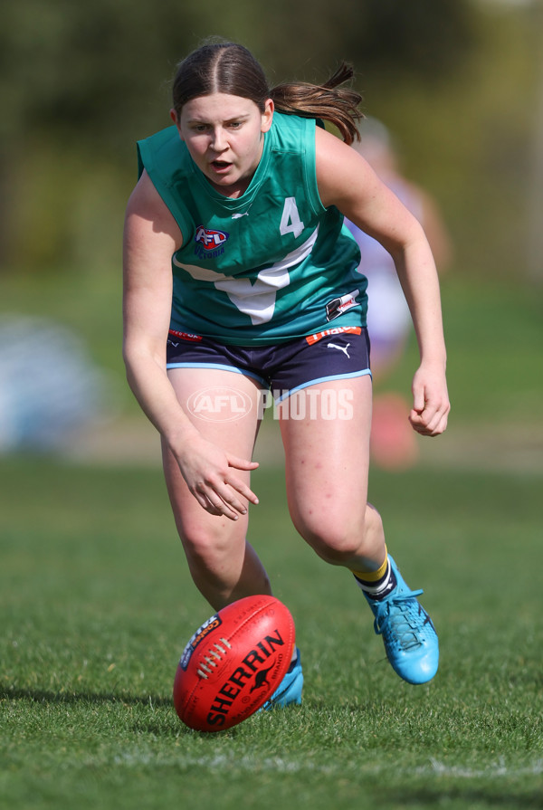 Young Gun Series 2024 - Young Guns v Oakleigh Chargers - A-52517018