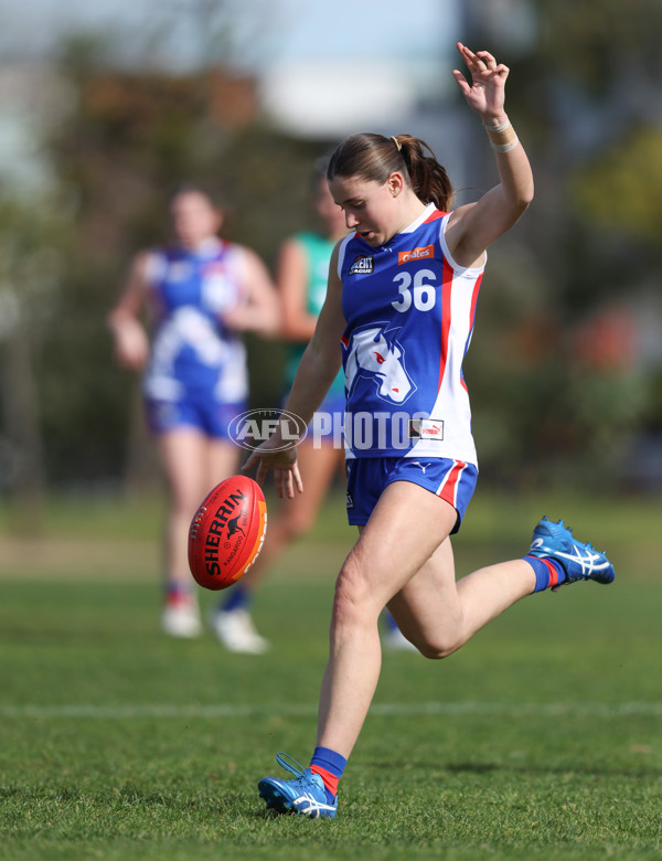 Young Gun Series 2024 - Young Guns v Oakleigh Chargers - A-52517022